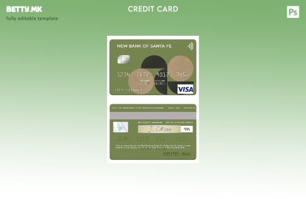 Модерен стил Аргентина Нова банка на Санта Фе шаблон виза картичка